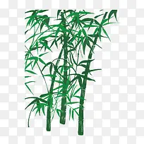 翠绿竹子
