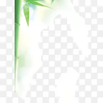 翠绿竹子