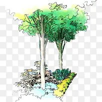 手绘水彩园林植物效果
