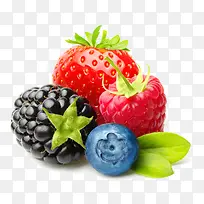 水果组合蓝莓桑葚新鲜水果