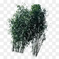 大竹子房地产广告