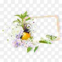 花卉边框