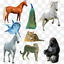 动物组图