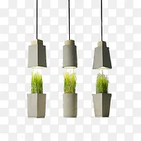 吊灯与植物