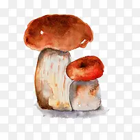 手绘黄色蘑菇