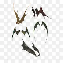 各种姿势的蝙蝠翅膀
