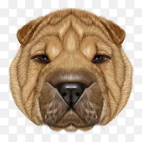 卡通手绘逼真精致彩色狗头