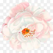 油画植物淡粉色花朵