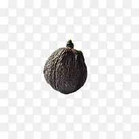茶籽果实