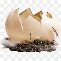 破碎的蛋壳