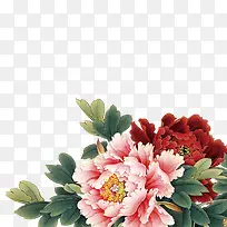 富贵花素材图片