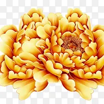 金色牡丹