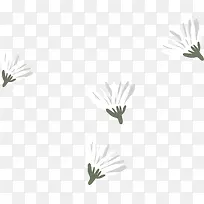 白色小花