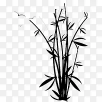 黑色的竹子