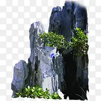 绿色植物假山石头