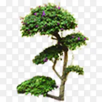 绿色植物公园假山装饰