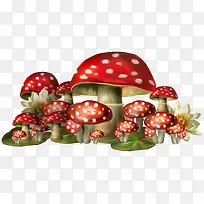 红色小蘑菇
