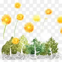 插画野花和草丛