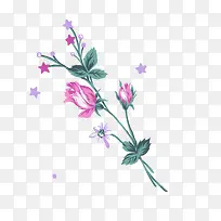 手绘粉色玫瑰花