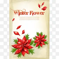 冬日花朵字体创意红色