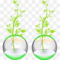 破裂玻璃球创意水培植物矢量图
