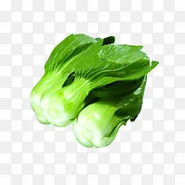 绿色菠菜