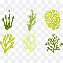 海洋海草植物