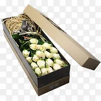 白色香槟玫瑰花漂浮素材