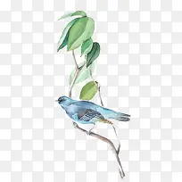 水彩装饰插图树枝叶与小鸟