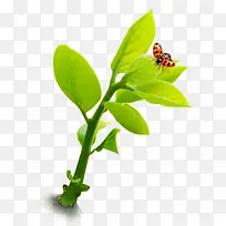 绿色植物装饰图