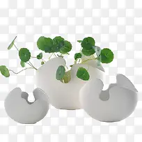 创意盆栽小植物素材