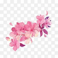 粉色花朵绘画免抠素材