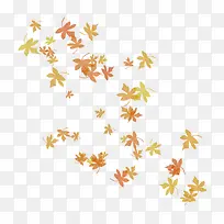落叶 秋季素材