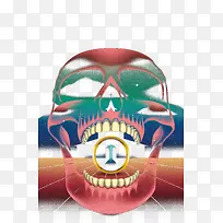 创意骷髅头