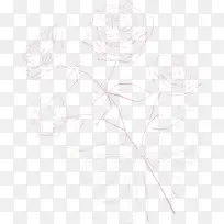 玫瑰花纹理素材