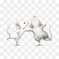 跳舞的小白鼠
