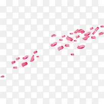 粉红花瓣漂浮不规则图片