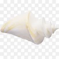 白色的海螺