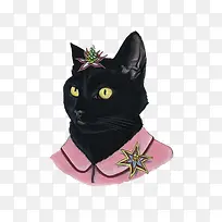 卡通小猫
