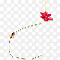花朵采蜜的蜜蜂