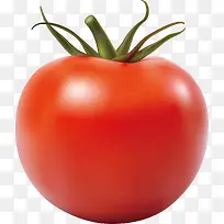 矢量手绘蔬菜