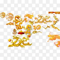 各种金龙