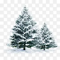 高清圣诞节大树雪花