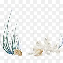 贝壳植物装饰图案PP3壁纸