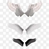 白色简约翅膀装饰图案