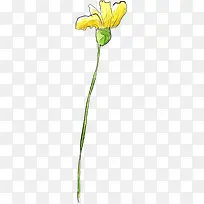 艳色花卉水印花卉画报