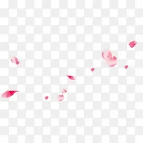 漂浮花瓣