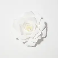 白色重叠花瓣海报背景花卉
