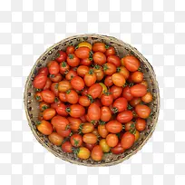 农家新鲜小西红柿