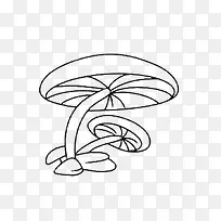 手绘的蘑菇